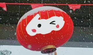 帶冰墩墩去故宮被圍觀 帶冰墩墩去故宮被圍觀